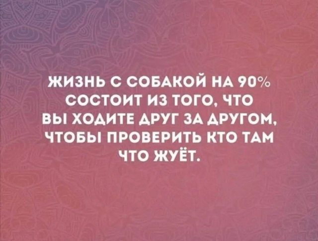 Жизнь с собакой на 90% состоит из того, что вы ходите друг за другом, чтобы проверить кто там что жует.