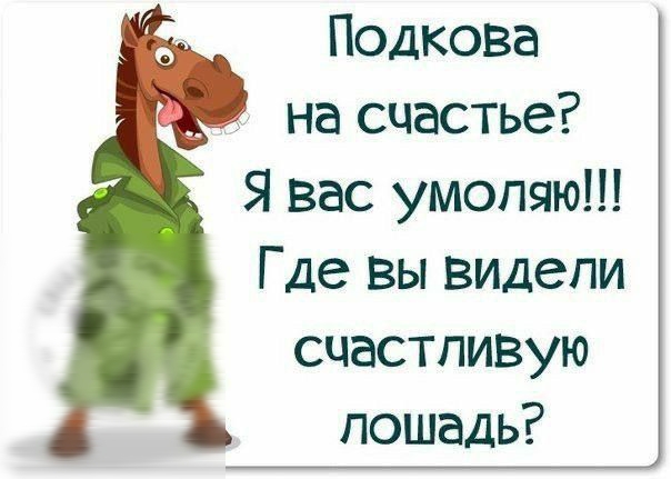 Подкова на счастье? Я вас умоляю!!! Где вы видели счастливую лошадь?
