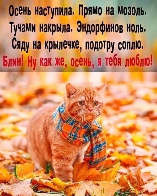 Осень наступила. Прямо на мозоль.
Тучами накрыла. Эндорфинов ноль.
Сяду на крылечке, подотру соплю.
Блин! Ну как же, осень, я тебя люблю!