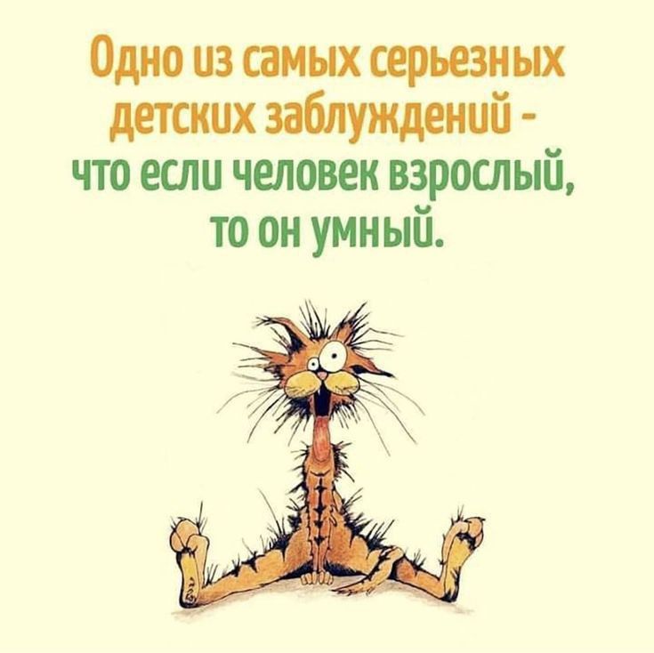 Одно из самых серьезных детских заблуждений - что если человек взрослый, то он умный.