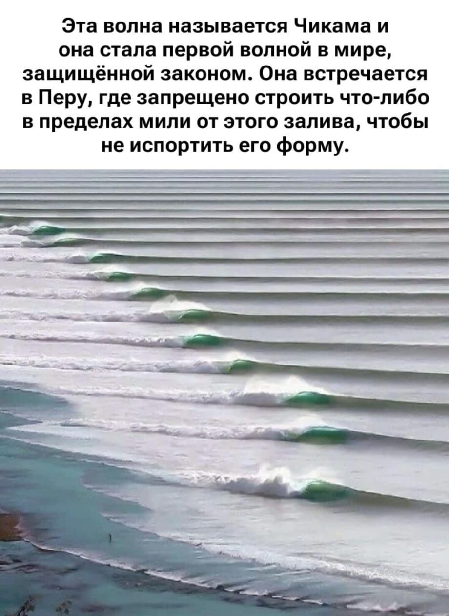 Эта волна называется Чикама и она стала первой волной в мире, защищённой законом. Она встречается в Перу, где запрещено строить что-либо в пределах мили от этого залива, чтобы не испортить его форму.