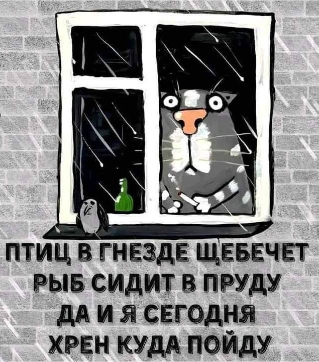 ПТИЦ В ГНЕЗДЕ ЩЕБЕЧЕТ РЫБ СИДИТ В ПРУДУ ДА Я СЕГОДНЯ ХРЕН КУДА ПОЙДУ