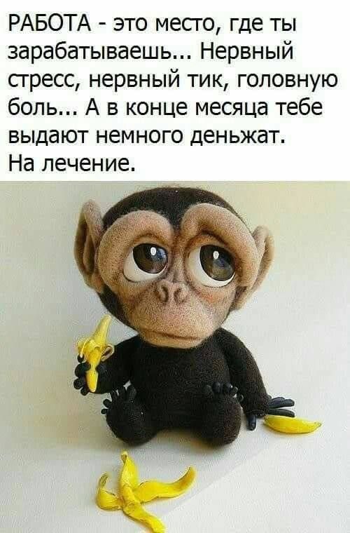 РАБОТА - это место, где ты зарабатываешь... Нервный стресс, нервный тик, головную боль... А в конце месяца тебе выдают немного денежжат. На лечение.