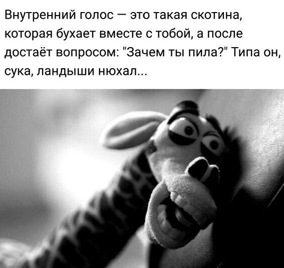 Внутренний голос — это такая скотина, которая бухает вместе с тобой, а после достаёт вопросом: 