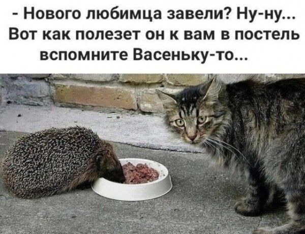 - Нового любимца завели? Ну-ну... Вот как полезет он к вам в постель вспомните Васеньку-то...