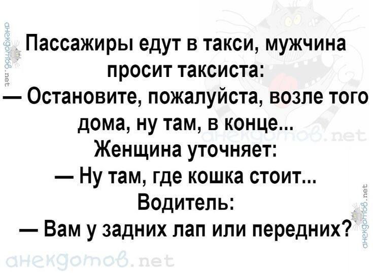 Пассажиры едут в такси, мужчина просит таксиста:
— Остановите, пожалуйста, возле того дома, ну там, в конце...
Женщина уточняет:
— Ну там, где кошка стоит...
Водитель:
— Вам у задних лап или передних?