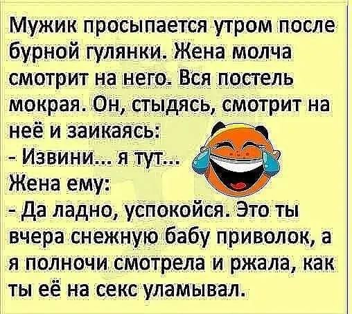 Мужик просыпается утром после бурной гулянки. Жена молча смотрит на него. Вся постель мокрая. Он, стыдясь, смотрит на неё и заикаясь:
- Извини... я тут...
Жена ему:
- Да ладно, успокойся. Это ты вчера снежную бабу приволок, а я полночь смотрела и ржала, как ты её на секс уламывал.