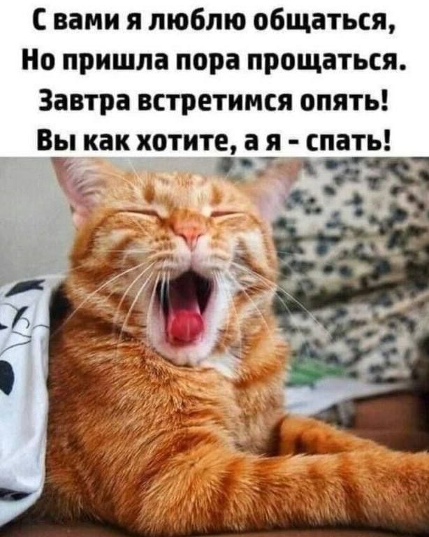 С вами я люблю общаться,
Но пришла пора прощаться.
Завтра встретимся опять!
Вы как хотите, а я - спать!