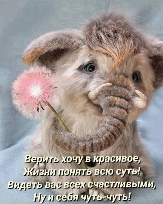 Верить хочу в красивое, Жизни понять всю суть! Видеть вас всех счастливыми, Ну и себя чуть-чуть!