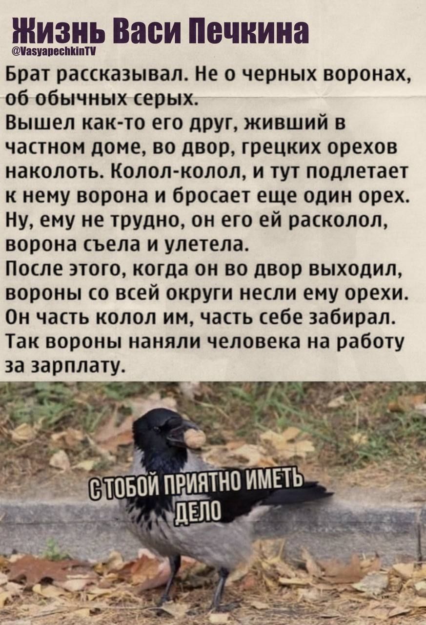 Брат рассказывал. Не о черных воронах, об обычных серых.
Вышел как-то его друг, живший в частном доме, во двор, грецких орехов наколоть. Колол-колол, и тут подлетает к нему ворона и бросает еще один орех.
Ну, ему не трудно, он его ей расколол, ворона съела и улетела.
После этого, когда он во двор выходил, вороны со всей округи несли ему орехи.
Он часть колол им, часть себе забирал.
Так вороны наняли человека на работу за зарплату.