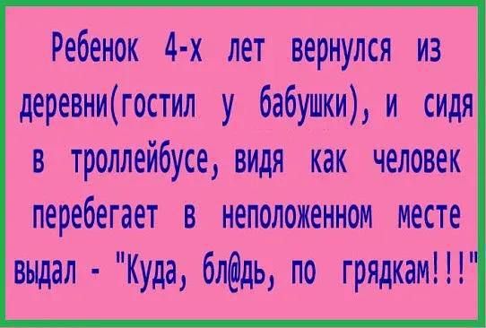 Ребёнок 4-х лет вернулся из деревни(гостил у бабушки), и сидя в троллейбусе, видя как человек перебегает в неположенном месте выдал - 