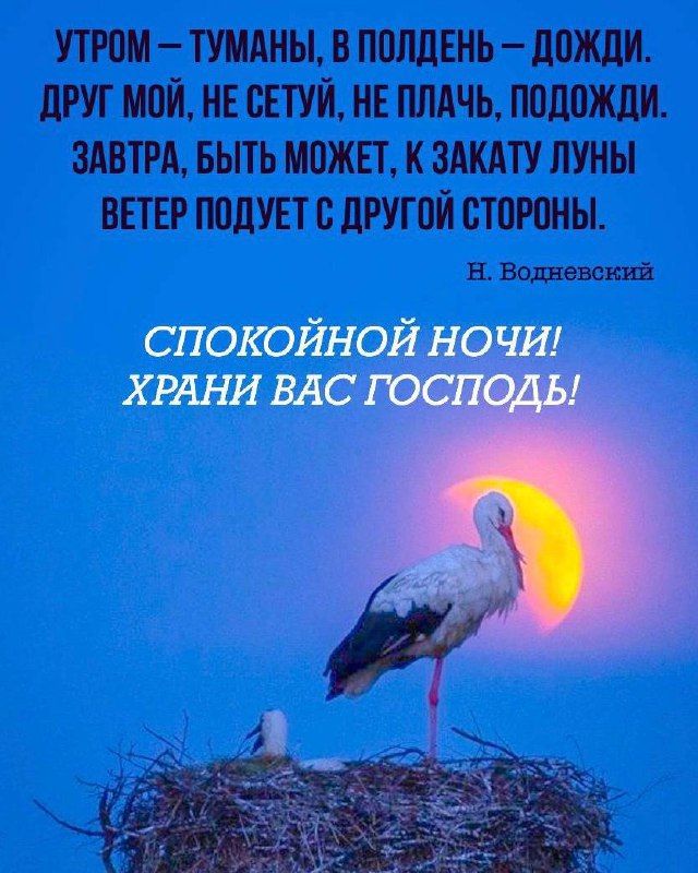 УТРОМ – ТУМАНЫ, В ПОЛДЕНЬ – ДОЖДИ. ДРУГ МОЙ, НЕ СЕТУЙ, НЕ ПЛАЧЬ, ПОДОЖДИ. ЗАВТРА, БЫТЬ МОЖЕТ, К ЗАКАТУ ЛУНЫ ВЕТЕР ПОДУЕТ С ДРУГОЙ СТОРОНЫ.

Н. Водневский

СПОКОЙНОЙ НОЧИ! ХРАНИ ВАС ГОСПОДЬ!