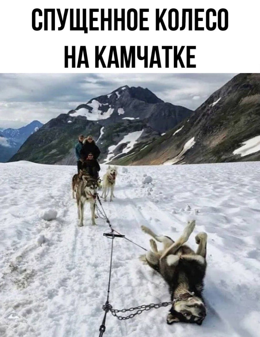 СПУЩЕННОЕ КОЛЕСО НА КАМЧАТКЕ