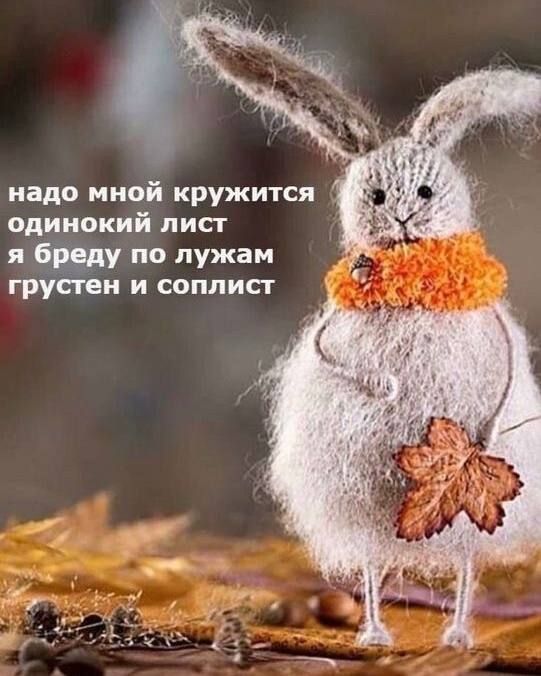 надо мной кружится одинокий лист я бреду по лужам грустен и соплист