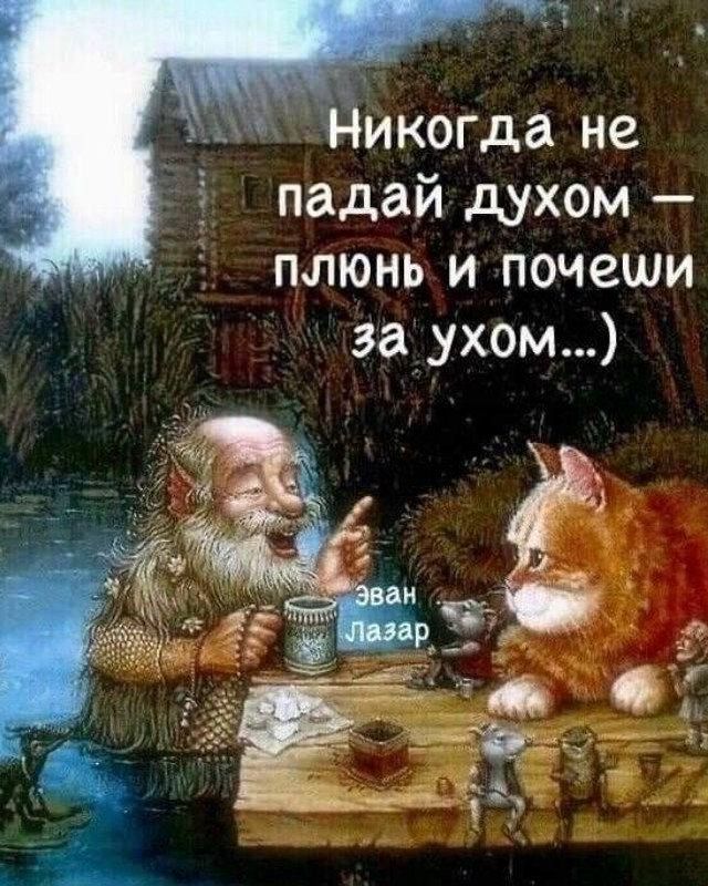 Никогда не падай духом – плюнь и почеси за ухом...)