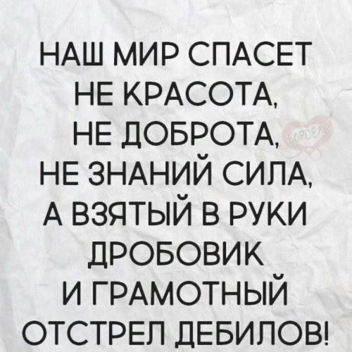 НАШ МИР СПАСЕТ
НЕ КРАСОТА,
НЕ ДОБРОТА,
НЕ ЗНАНИЙ СИЛА,
А ВЗЯТЫЙ В РУКИ
ДРОБОВИК
И ГРАМOTНЫЙ
ОТСТРЕЛ
ДЕБИЛОВ!