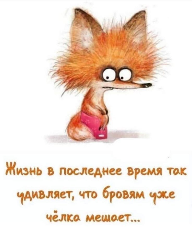 Жизнь в последнее время так удивляет, что бровям уже чёлка мешает...