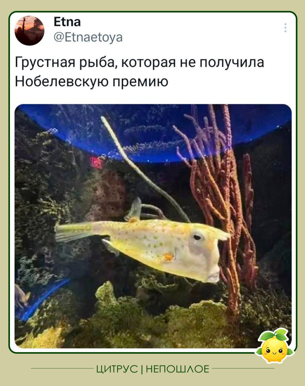 Грустная рыба, которая не получила Нобелевскую премию