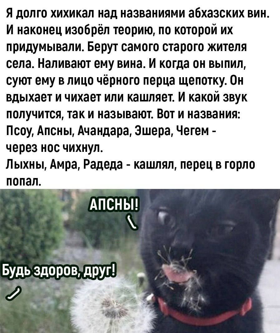 Я долго хихикал над названиями абхазских вин. И наконец изобрёл теорию, по которой их придумывали. Берут самого старого жителя села. Наливают ему вина. И когда он выпил, суют ему в лицо чёрного пера щепотку. Он вдыхает и чихает или кашляет. И какой звук получится, так и называют. Вот и названия: Псоу, Апсны, Ачанадар, Эшера, Чегем - через нос чихнул. Лыхнын, Амра, Радеда - кашлял, перец в горло попал.

Апсны! Будь здоров, друг!