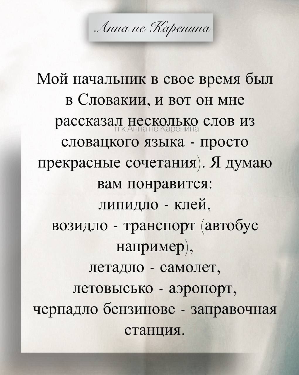 Анна не Каренина

Мой начальник в свое время был в Словакии, и вот он мне рассказал несколько слов из словaцкого языка - просто прекрасные сочетания). Я думаю вам понравится:
липидло - клей,
возидло - транспорт (автобус, например),
летадло - самолет,
летовысько - аэропорт,
черпадло бензиновое - заправочная станция.