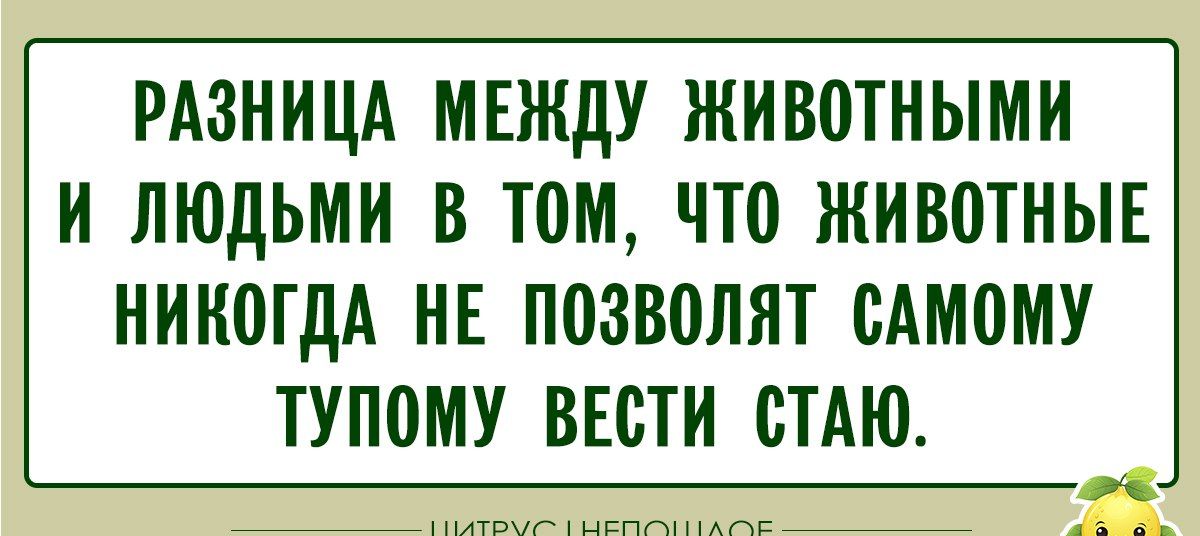 РАЗНИЦА МЕЖДУ ЖИВОТНЫМИ И ЛЮДЬМИ В ТОМ, ЧТО ЖИВОТНЫЕ НИКОГДА НЕ ПОЗВОЛЯТ САМОМУ ТУПОМУ ВЕСТИ СТАЮ.