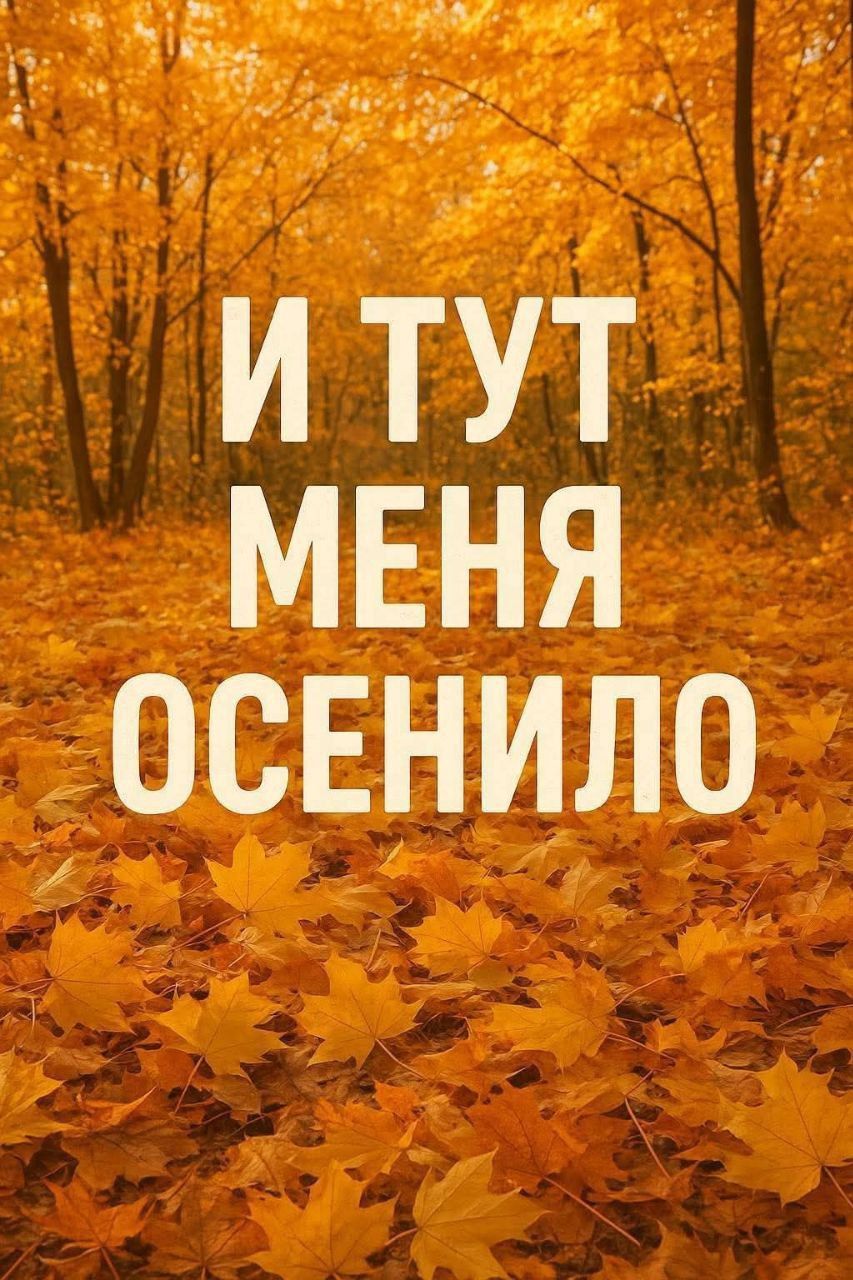 И ТУТ МЕНЯ ОСЕНИЛО