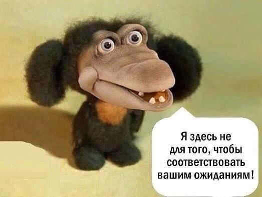 Я здесь не для того, чтобы соответствовать вашим ожиданиям!