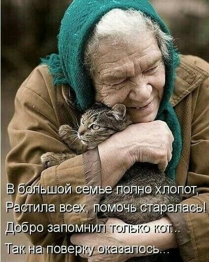 В большой семье полно хлопот, Растила всех, помогать старалось! Добро запомнил только кот.. Так на проверку оказалось..