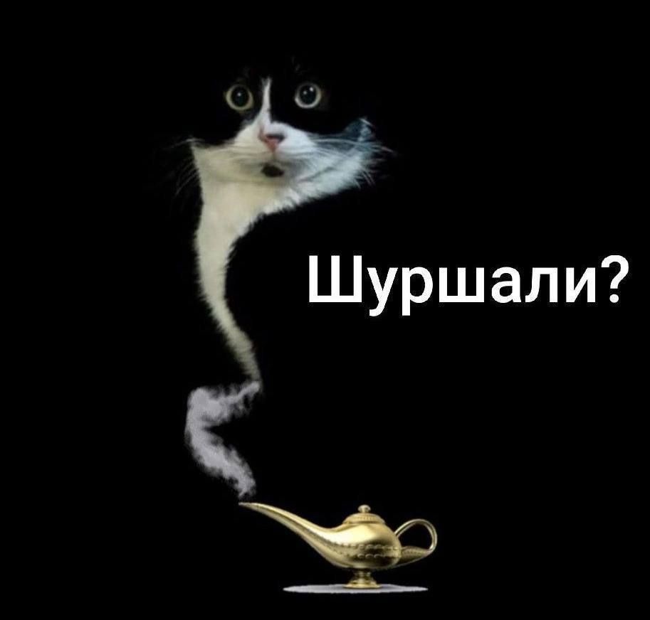 Шуршали?