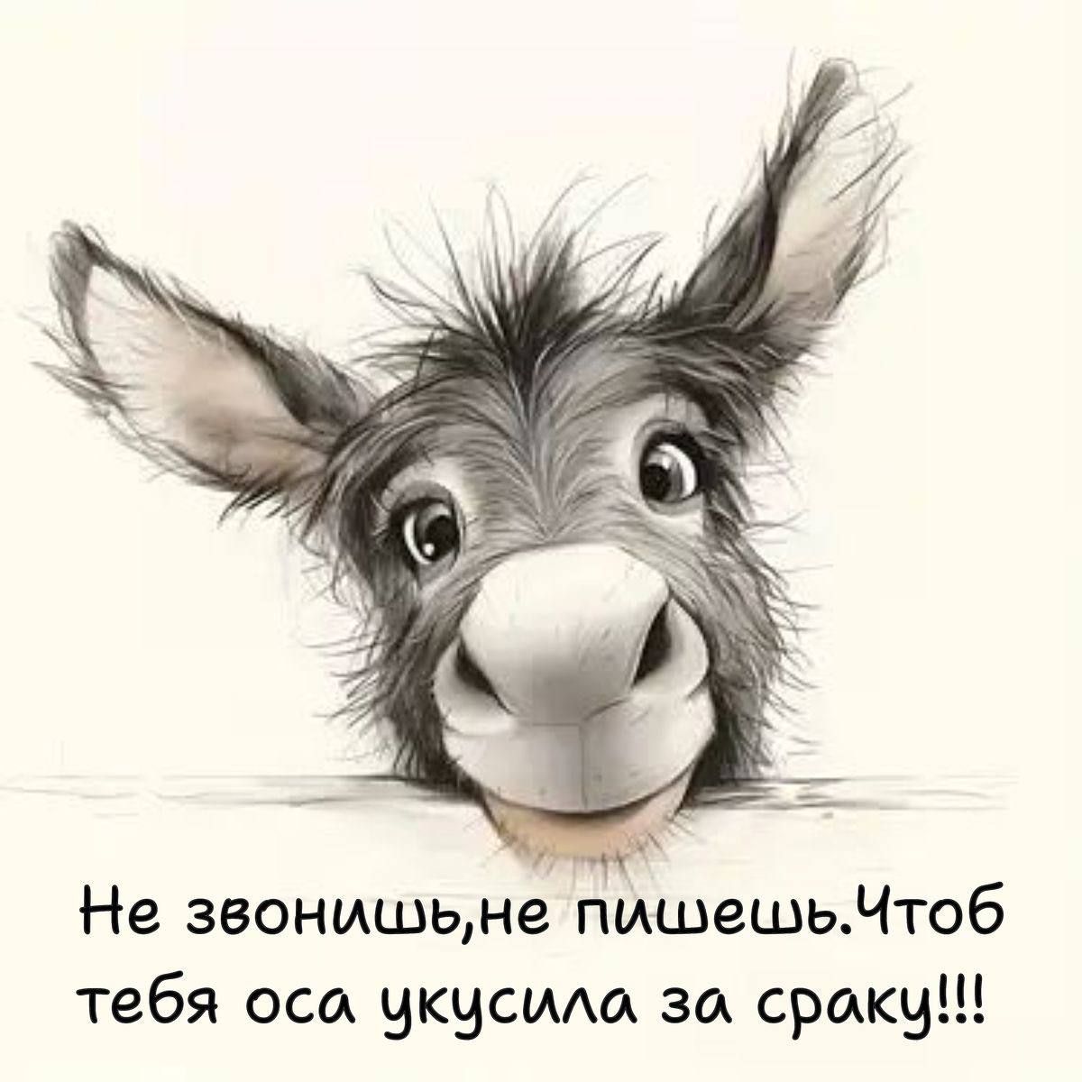 Не звонишь, не пишешь. Чтобы тебя оса укусила за сраку!!!