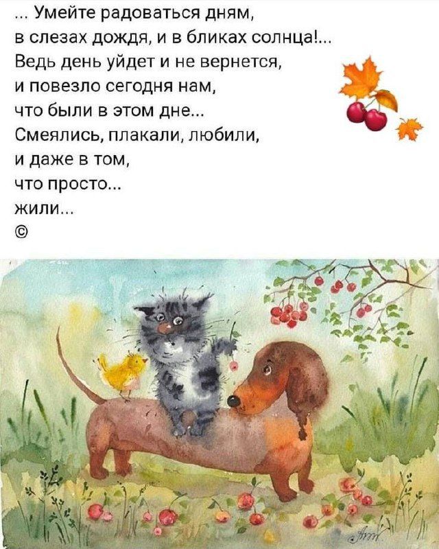 … Умейте радоваться дням, в слезах дождя, и в бликах солнца!… Ведь день уйдёт и не вернется, и повезло сегодня нам, что были в этом дне… Смеялись, плакали, любили, И даже в том, что просто… жили…
