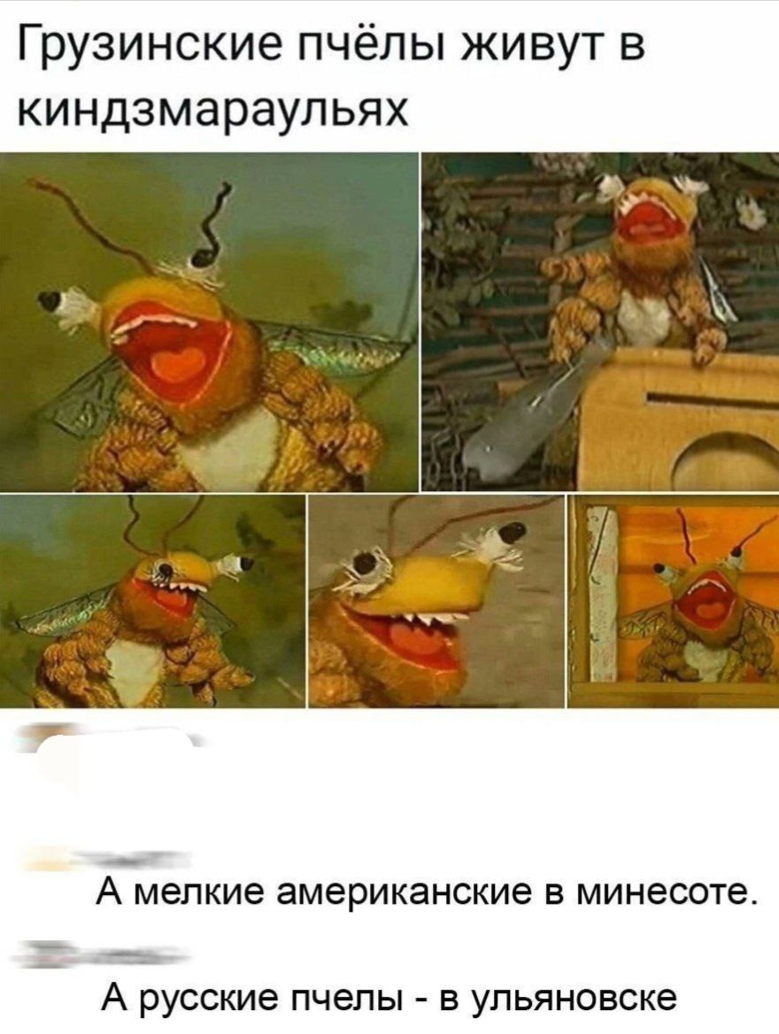 Грузинские пчёлы живут в киндзмараульях. А мелкие американские в минесоте. А русские пчели - в ульяновске