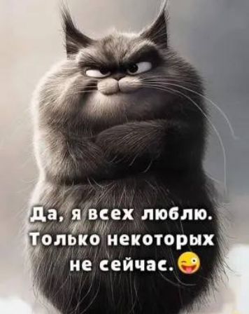 Да, я всех люблю. Только некоторых не сейчас.
