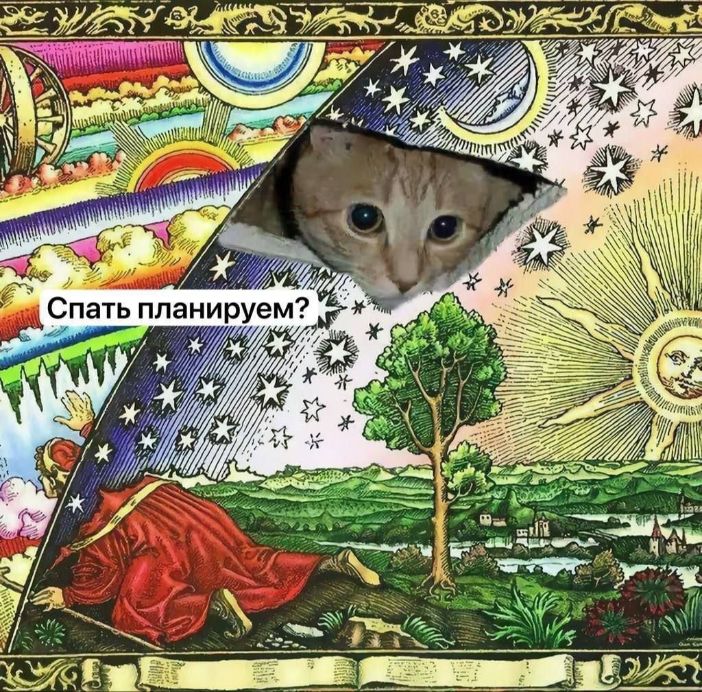 Спать планируем?