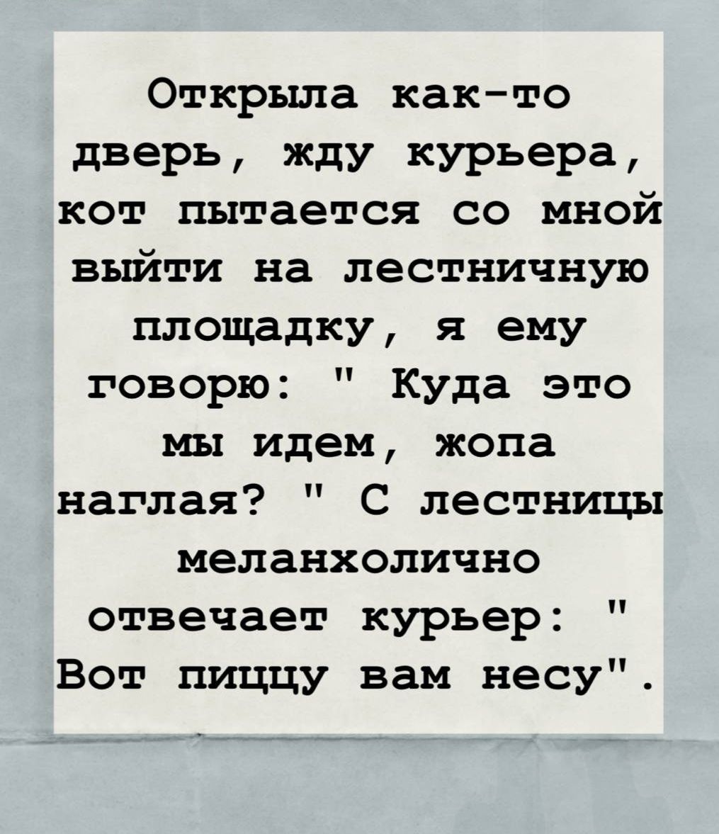 Открыла как-то дверь, жду курьера, кот пытается со мной выйти на лестничную площадку, я ему говорю: 
