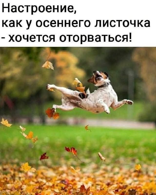Настроение, как у осеннего листочка - хочется оторваться!
