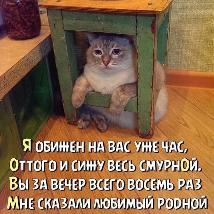 Я обижен на вас уже час, оттого и синь всю смурной. Вы за вечер всего восемь раз мне сказали любимый родной