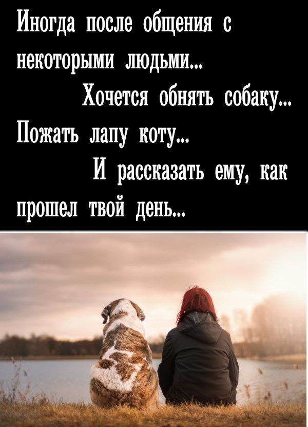 Иногда после общения с некоторыми людьми... Хочется обнять собаку... Пожать лапу коту... И рассказать ему, как прошел твой день...