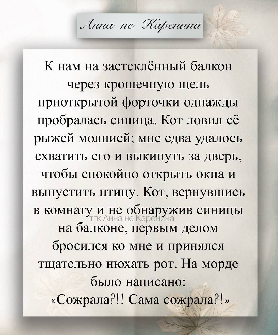 К нам на застеклённый балкон через крошечную щель приоткрытой форточки однажды пробралась синица. Кот ловил её рыжей молнией; мне едва удалось схватить его и выбросить за дверь, чтобы спокойно открыть окно и выпустить птицу. Кат, вернувшись в комнату и не обнаружив синицу на балконе, первым делом бросился ко мне и принялся тщательно нюхать рот. На морде было написано: «Сожрала?! Самa сожрала?!»