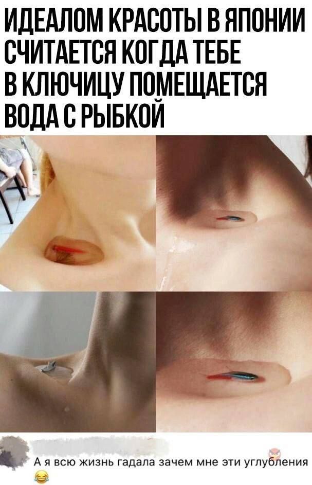 ИДЕАЛОМ КРАСОТЫ В ЯПОНИИ СЧИТАЕТСЯ КОГДА ТЕБЕ В КЛЮЧИЦУ ПОМЕЩАЕТСЯ ВОДА С РЫБКОЙ\n\nА я всю жизнь гадала зачем мне эти углубления