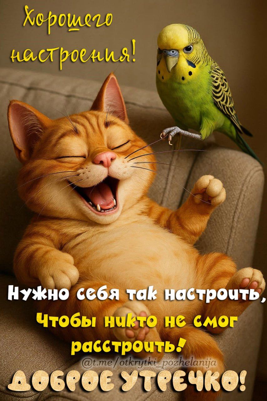 Хорошего настроения! Нужнo себя так настроить, Чтобы никто не смог расстроить! ДОБРОЕ УТЕЧКО!