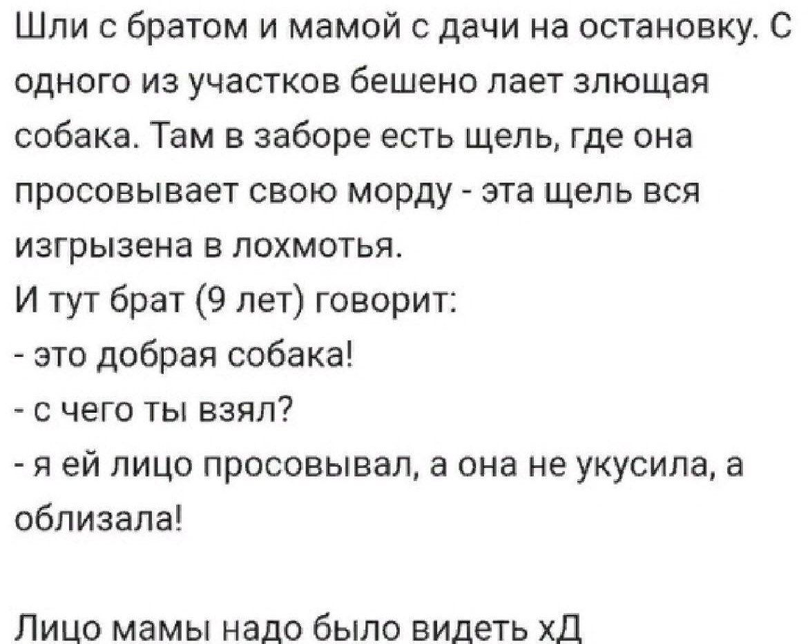 Шли с братом и мамой с дачи на остановку. С одного из участков бешено лаят злющая собака. Там в заборе есть щель, где она просовывает свою морду - эта щель вся изгрызена в лохмотьях. И тут брат (9 лет) говорит: - это добрая собака! - с чего ты взял? - я ей лицо просовывал, а она не укусила, а облизала! Лицо мамы надо было видеть xD