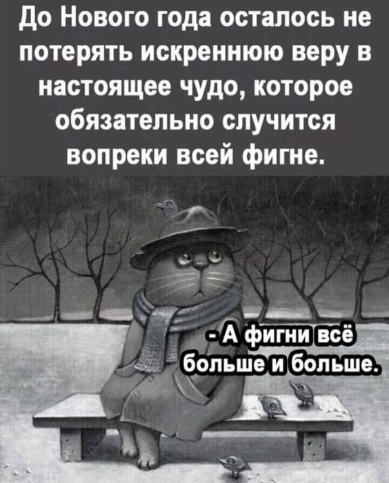 До Нового года осталось не потерять искреннюю веру в настоящее чудо, которое обязательно случится вопреки всей фигне. - А фигни всё больше и больше.