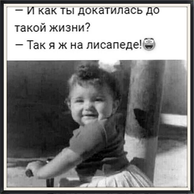 - И как ты докатилась до такой жизни? - Так я ж на лисапеде!