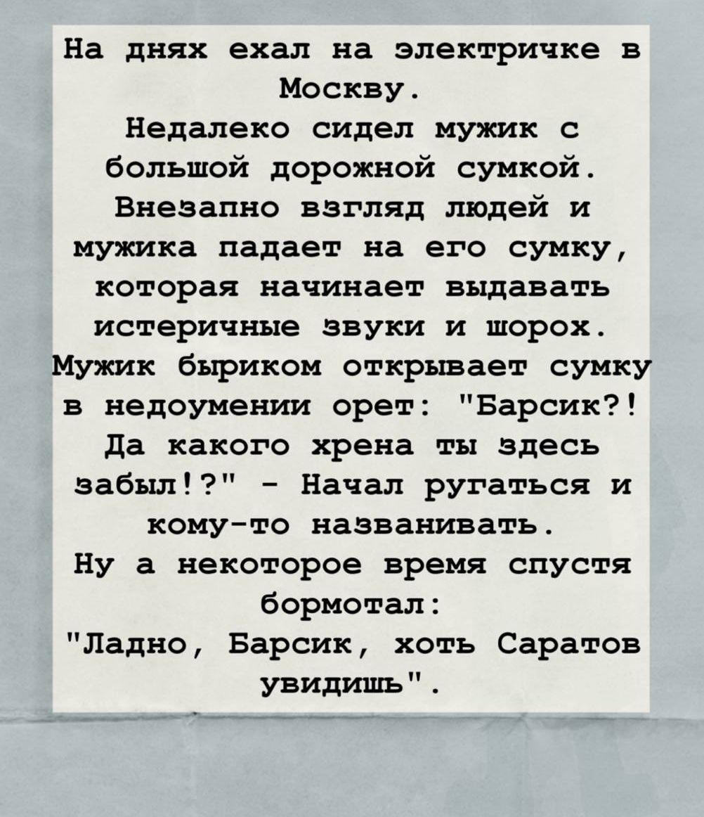На днях ехал на электричке в Москву. Недалеко сидел мужик с большой дорожной сумкой. Внезапно сумку начинают выдавать истерические звуки и шорох. Мужик открывает сумку и орёт: 'Барсик?! Да какого хрена ты здесь забыл?!' Потом бурмотал: 'Ладно, Барсик, хоть Саратов увидишь'.