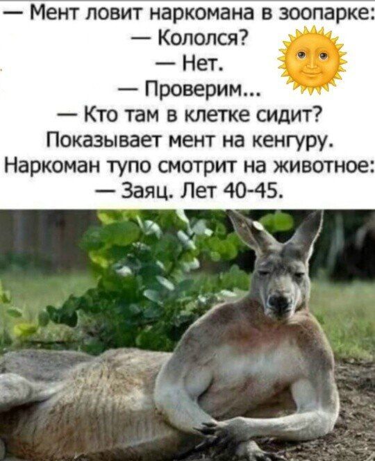 Мент ловит наркомана в зоопарке:
— Кололся?
— Нет.
— Проверим...
— Кто там в клетке сидит?
Показывает мент на кенгуру.
Наркоман тупо смотрит на животное:
— Заяц. Лет 40–45.