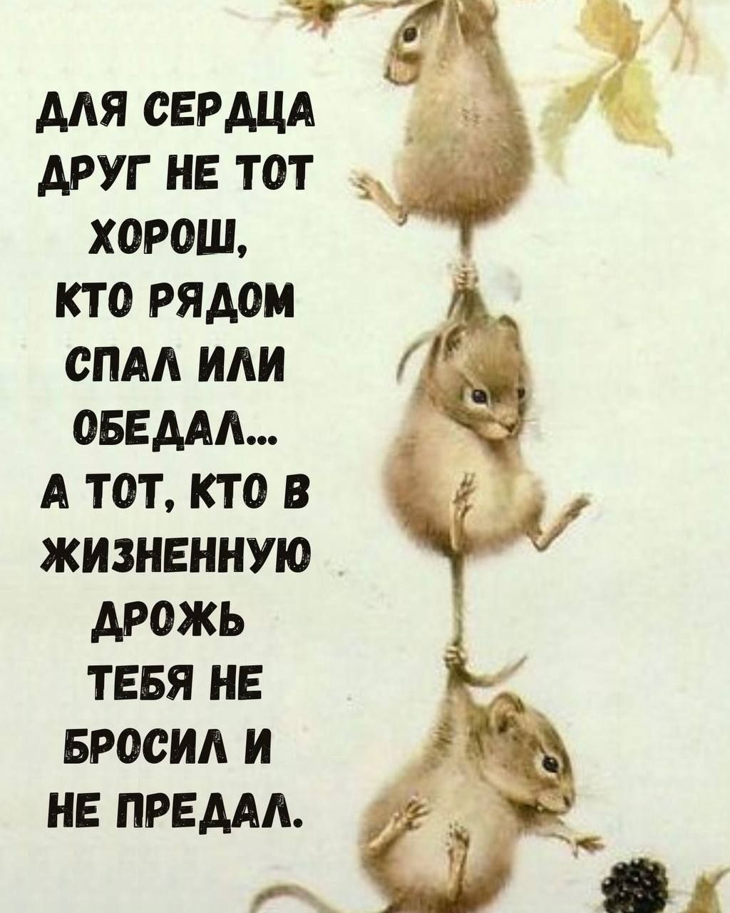 ДЛЯ СЕРДЦА ДРУГ НЕ ТОТ КОТОЙ РЯДОМ СПАЛ ИЛИ ОБЕДАЛ... А ТОТ, КТО В ЖИЗНЕННУЮ ДРОЖЬ ТЕБЯ НЕ БРОСИЛ И НЕ ПРЕДАЛ.