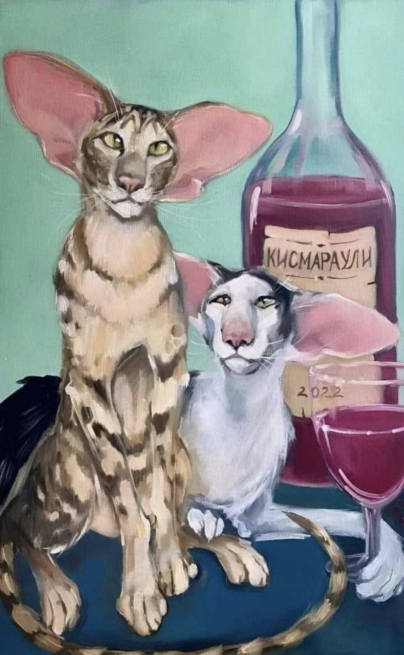 КИСМАРАУИН
2022