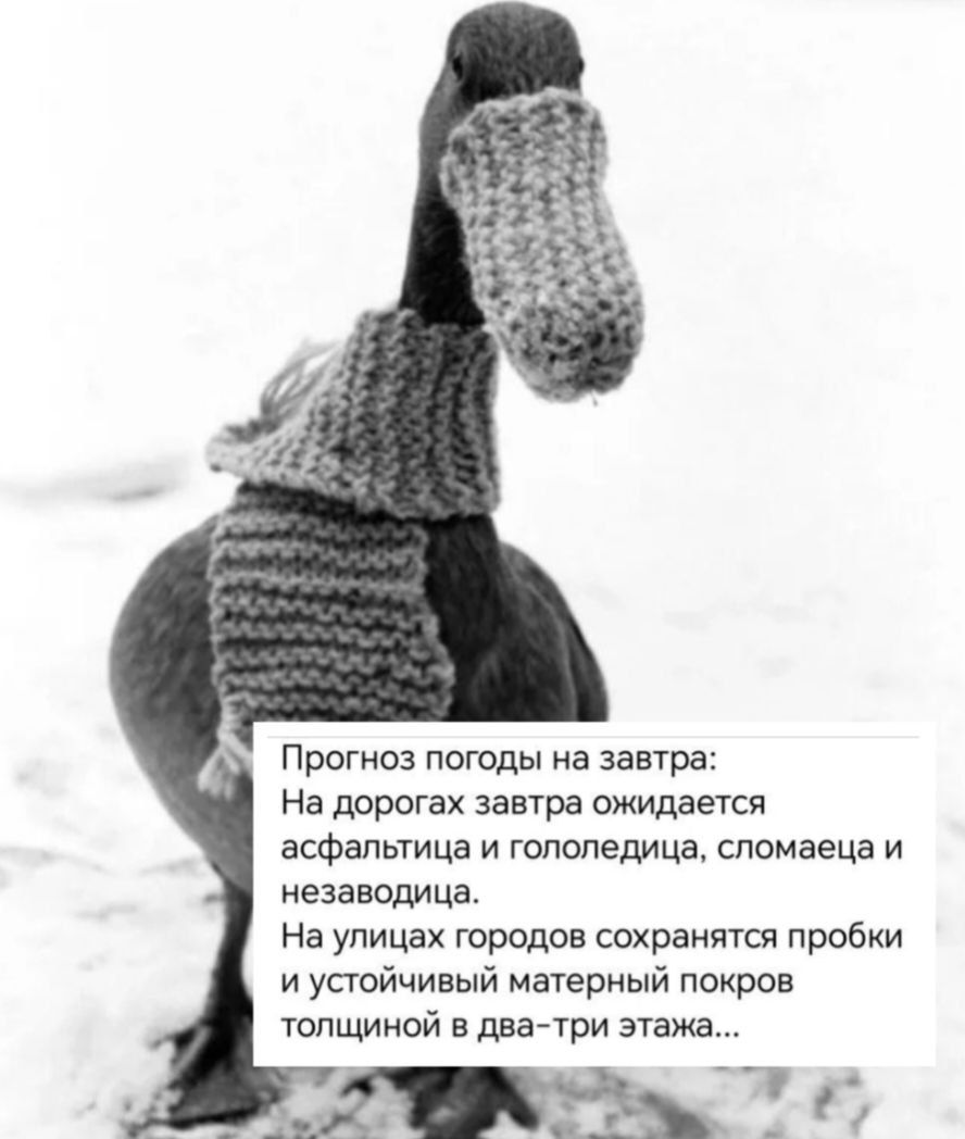 Прогноз погоды на завтра: На дорогах завтра ожидается асфальтица и гололедица, сломаeа и незавода. На улицах городов сохранятся пробки и устойчивый матерный покров толщиной в два-три этажа...