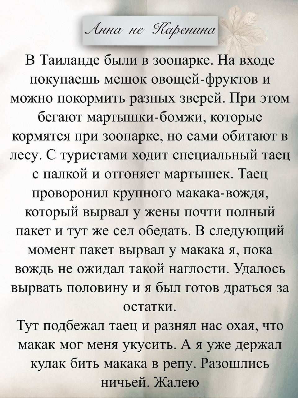 В Таиланде были в зоопарке. На входе покупаешь мешок овощей-фруктов и можно покормить разных зверей. При этом бегают мартышки-бомжи, которые кормятся при зоопарке, но сами обитают в лесу. С туристами ходит специальный таец с палкой и отгоняет мартышек. Таец проворонил крупного макака-вождя, который вырвал у женщины почти полный пакет и тут же сел обедать.